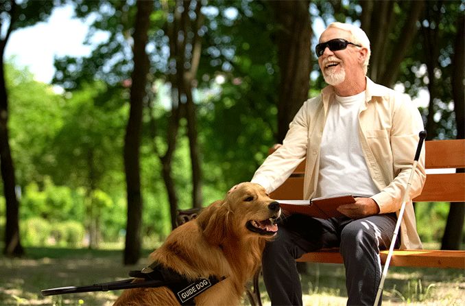 Legally blind man sitting on park bench with guide dog
